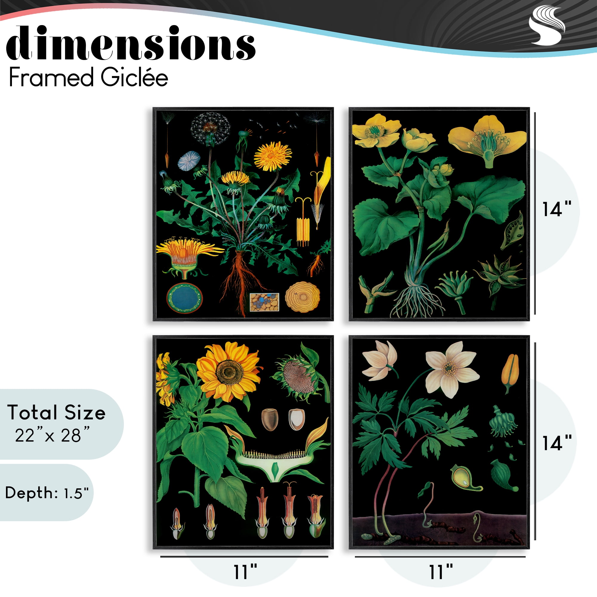 Stupell Industries Botanical Illustrations on Black 4 Piece Black Framed Giclee Art Set, design by Vintage Hustle