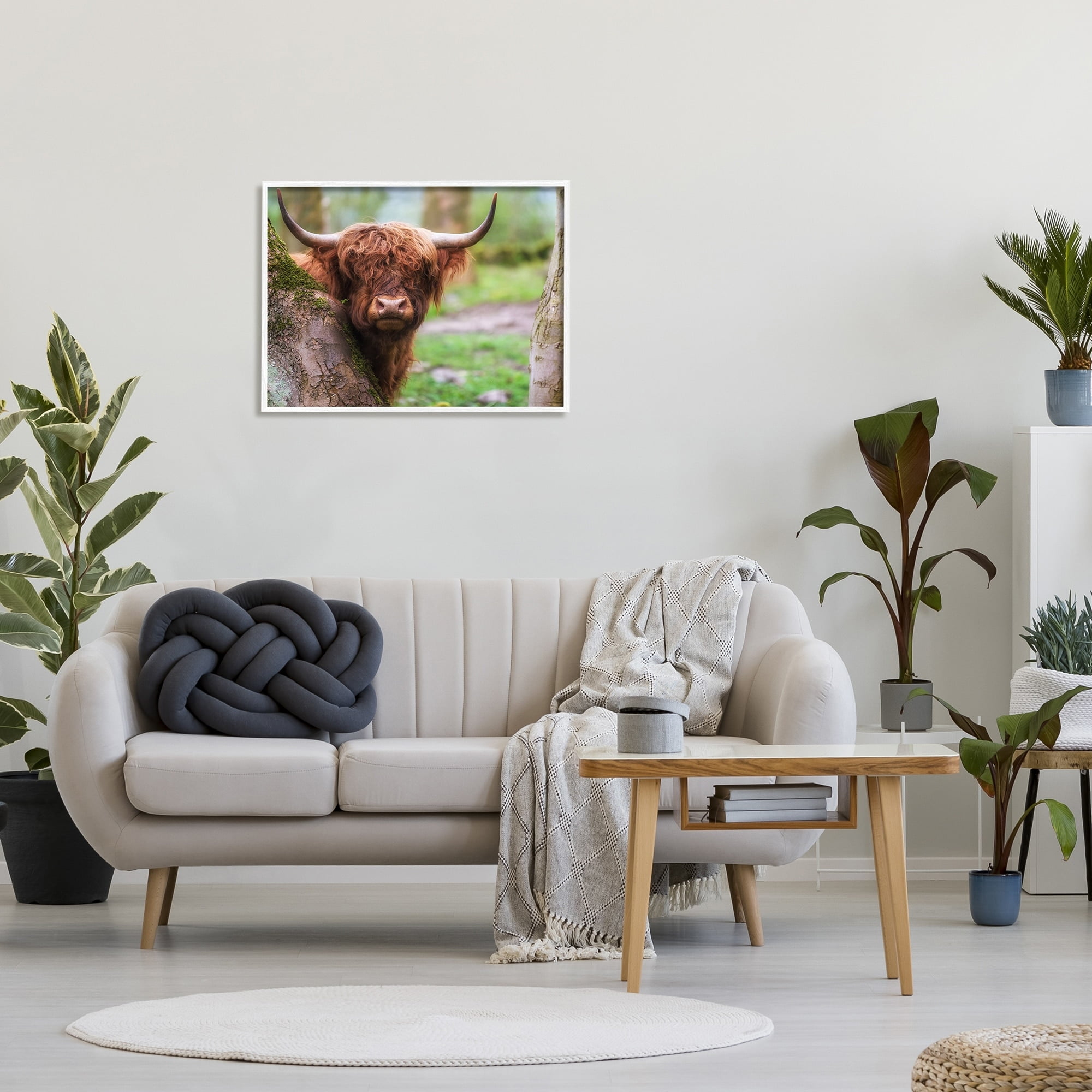 Stupell Industries Highland Cattle Peering Between Trees Lush Nature Scene Photograph White Framed Art Print Wall Art, Design by James Dobson