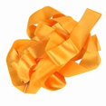 thumbnail image 2 of BESTYASH Artistic Gymnastics Accessory 4m Orange Dancing Ribbon Streamer With Plastic Stick 1Set 11.8in*1.97in 19.69in, 2 of 3