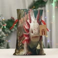 thumbnail image 5 of Naloa Colorful Axolotl Underwater Drawstring Christmas Bags, 3D Xmas Gift Bags, Christmas Wrapping Bags, Xmas Goodie Bags, Treat Pouch Bags, Party Favor Bags-Medium, 5 of 9