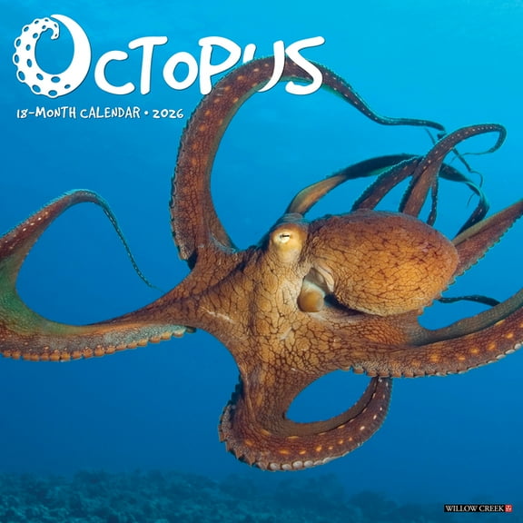 Octopus 2026 Wall Calendar, (Paperback)