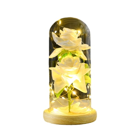 Preserved Flower Gift, Light Up Rose in Glass Dome, Eternal Forever Rose Flower Gifts