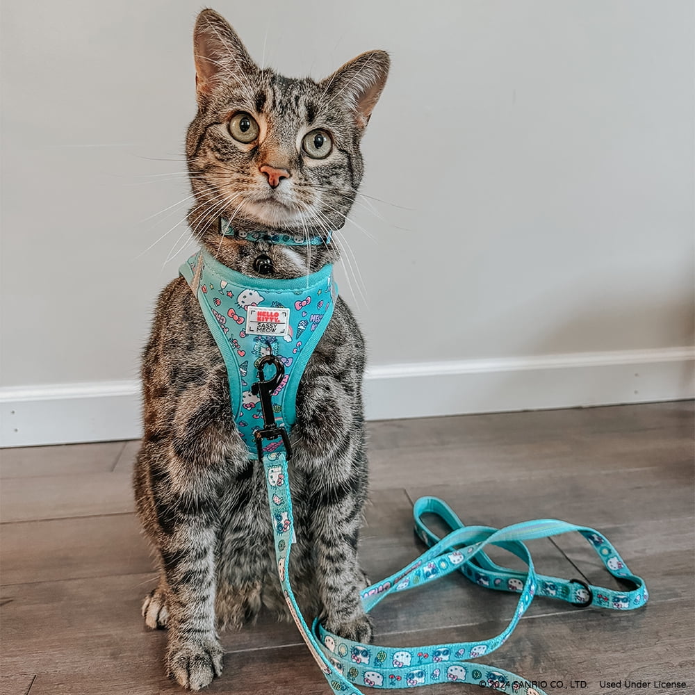 新品 SASSY MEOW サシーミャウ ハローキティ ハーネスXS リーシュ 新品 SASSY MEOW サシーミャウ ハローキティ ハーネスXS リーシュ