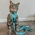 thumbnail image 3 of Sassy Meow Cat Collar S - Hello Kitty Blue, 3 of 6
