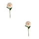 thumbnail image 1 of Cateissary Flor de simulación redonda de aplicación amplia de 10 paquetes/lote para decoración de fiesta o ramo de boda rosa champán rosa champán 2Conjunto, 1 of 6