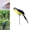 Blue, variant on JJYY 1PC/2Pcs Faux Feathered Parrot Bird Statue Decoration – Modern Home and Garden Ornament – Realistic Zoo-Inspired Decor Available in 25cm/35cm Sizes