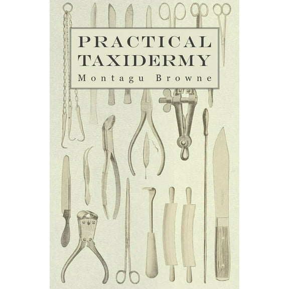 Practical Taxidermy: A Manual of Instruction to the Amateur in Collecting, Preserving, and Setting Up Natural History Sp, (Paperback)