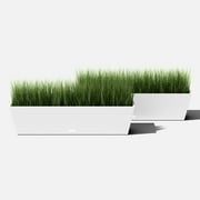 Veradek Pure Series Window Box 36 Plastic Planter 2-Pack White