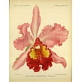 thumbnail image 2 of Goossens, A. 26x32 Black Ornate Wood Framed with Double Matting Museum Art Print Titled - Orchid, Catlleya Hardyana, 2 of 4