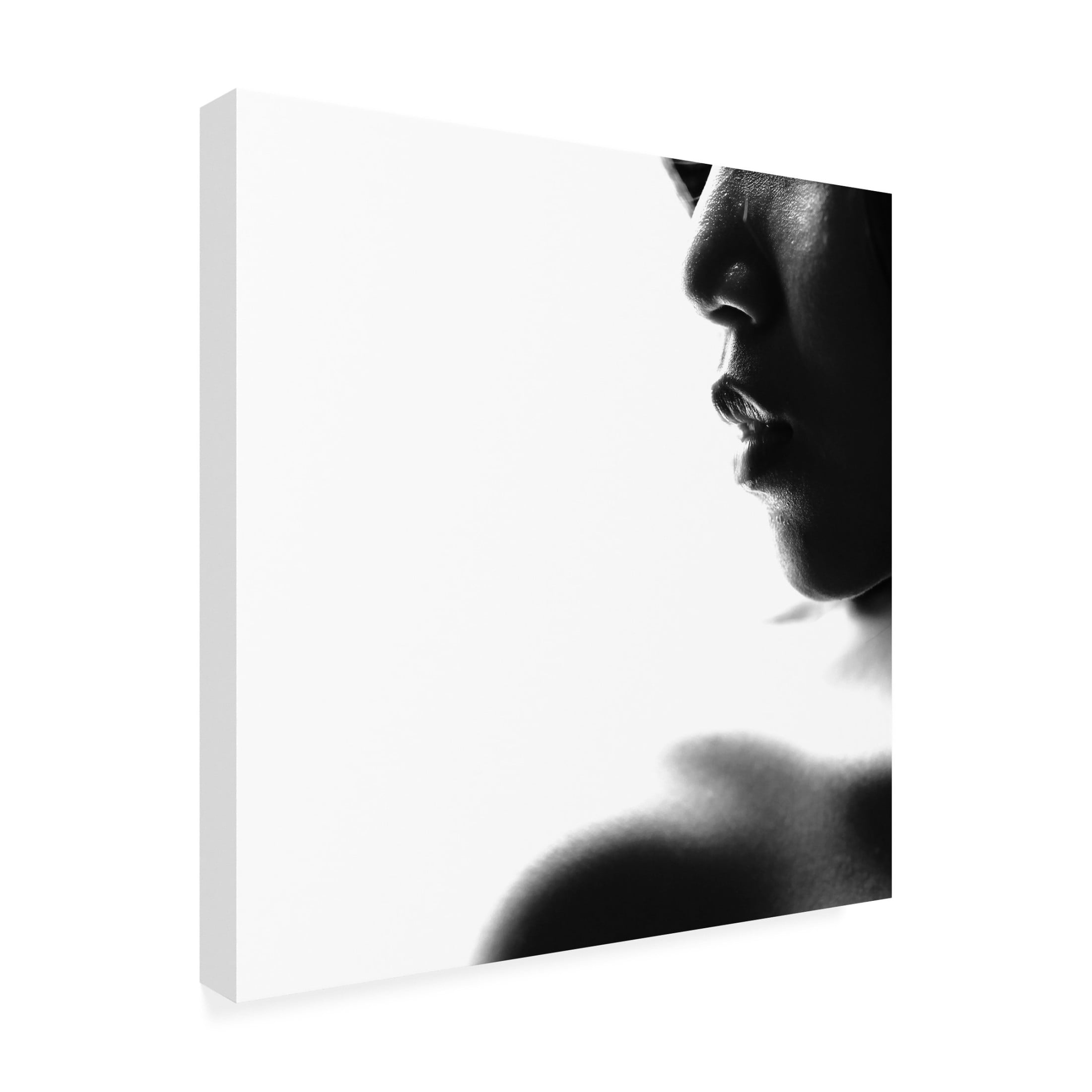 Canvas Wall Art - bonifasius wahyu adi 'Excite' Wall Art for Living Room, Bedroom, or Office D?cor by Trademark Fine Art - 24 x 24 Inches