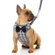thumbnail image 1 of Juego de arnés y correa para perros pequeños: arnés para mascotas sin tirones con chaleco de nailon de malla suave para perros pequeños y gatos gris L ER, 1 of 6