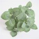 thumbnail image 2 of Moyic Hojas de eucalipto Planta artificial Hojas Centro de Hojas Oficina en el hogar Fiesta de boda Decoración Planta Plantas Artificiales gris blanco Moyic HA6648-01B, 2 of 6