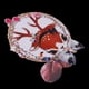 thumbnail image 4 of s de ciervos de animales, camiseta, de transferencia de calor, apliques de hierro lavables para camisetas de bricolaje, abrigos de jean Zulema Pegatina de hierro en el parche, 4 of 8