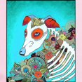 thumbnail image 2 of CafePress - Dia Los Muertos, Day Of The Dead Dog Infant Bodysu - Baby Light Bodysuit, Size Newborn - 24 Months, 2 of 4