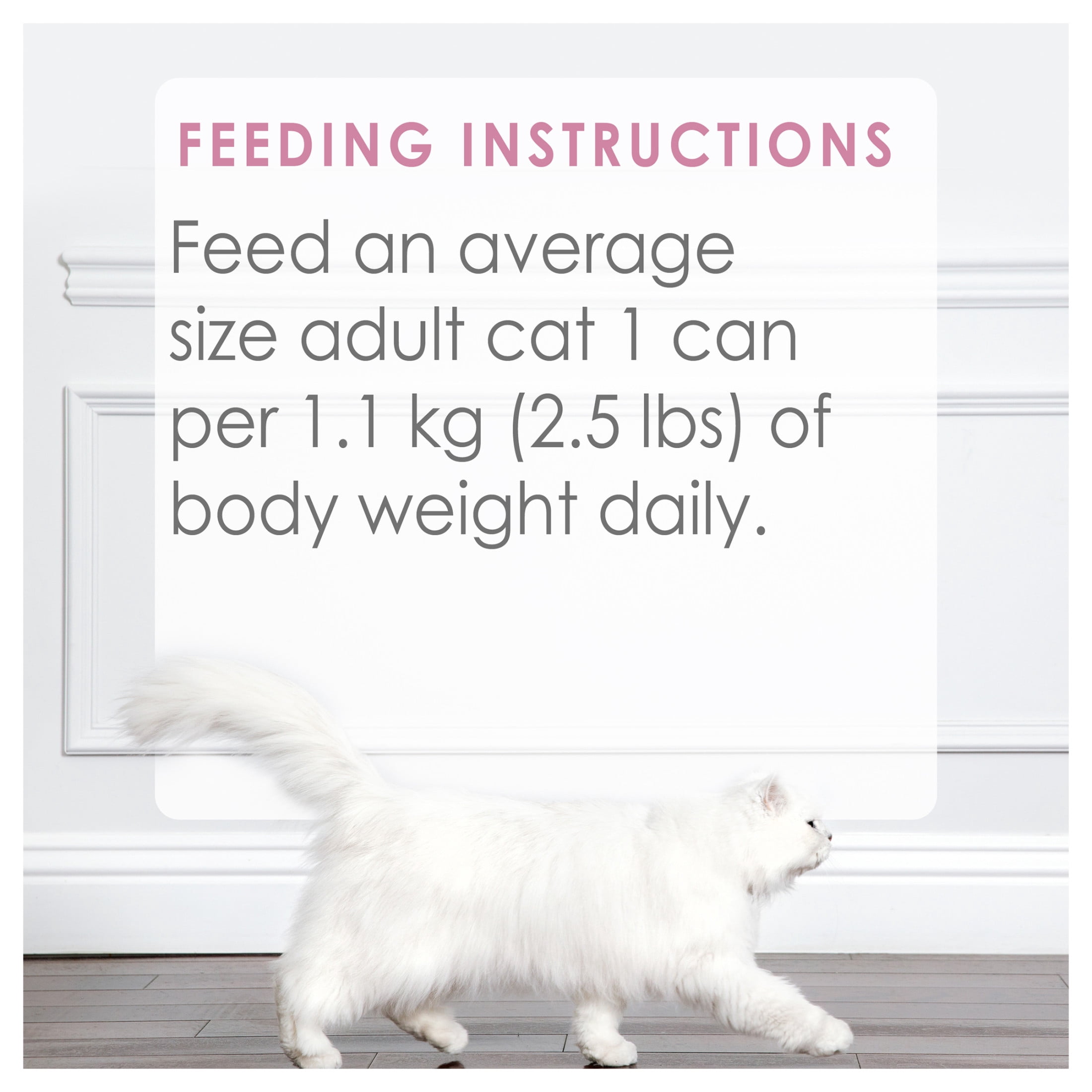 Fancy Feast Medleys Wild Salmon Primavera in a Silky Broth, Wet Cat Food 85 g