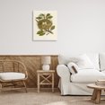 thumbnail image 4 of Stupell Industries Cottage Birdnest with Spotted Eggs Canvas Art, 24 x 30, by Tina Higgins Designs Inc., 4 of 8