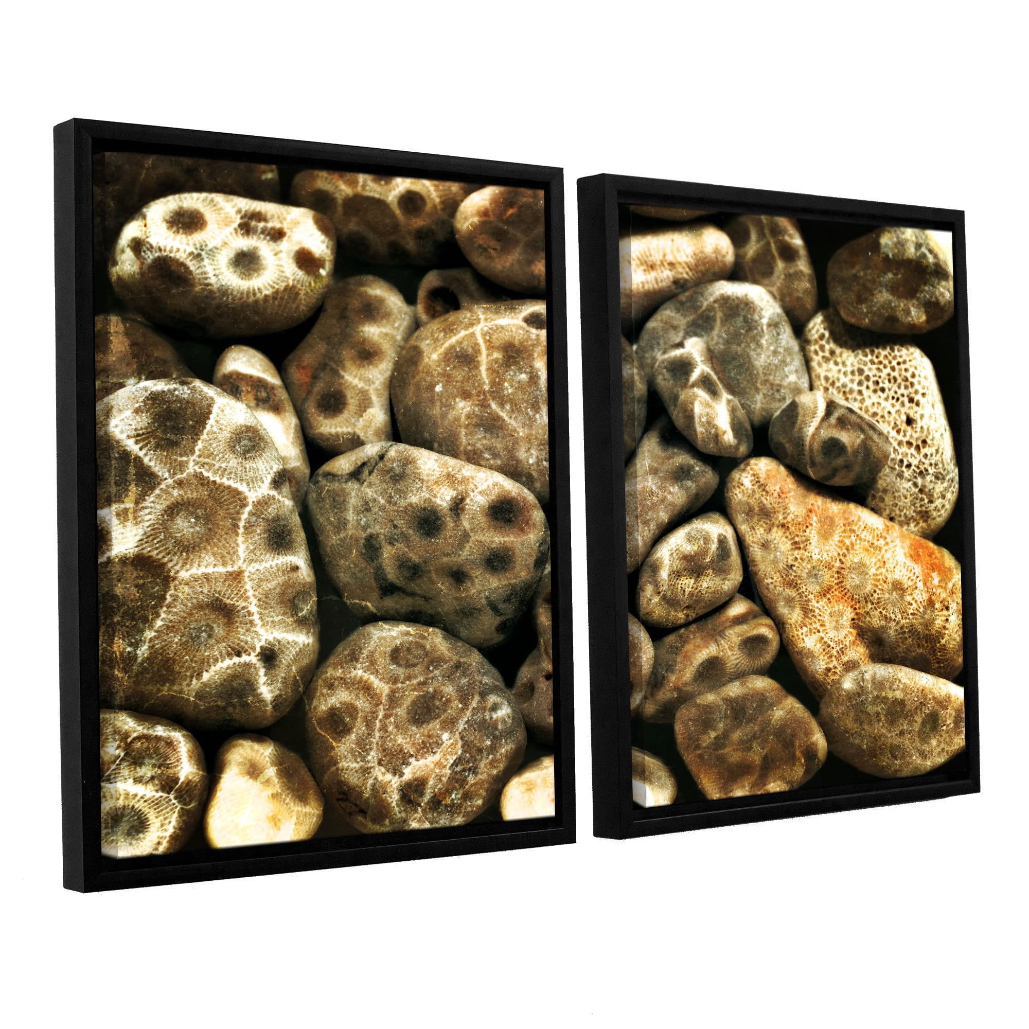 ArtWall Kevin Calkins "Petoskey Stone Collage" 2-Piece Floater Framed Canvas Set