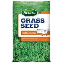 Scotts Grass Seed Bermudagrass, 1 lb., Seeds up to 1,000 sq. ft.