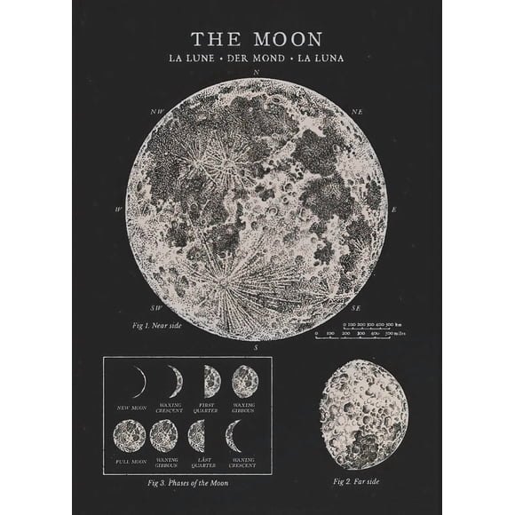 Vintage Space Astronomy Solar System Map Moon Phases Lunar Chart Poster Canvas Painting Wall Art Picture Room Home Decor, 50*70cm, unframed.,4