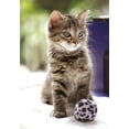 thumbnail image 2 of Tomax Jigsaw Puzzle - Kitty (300 Pieces), 2 of 2