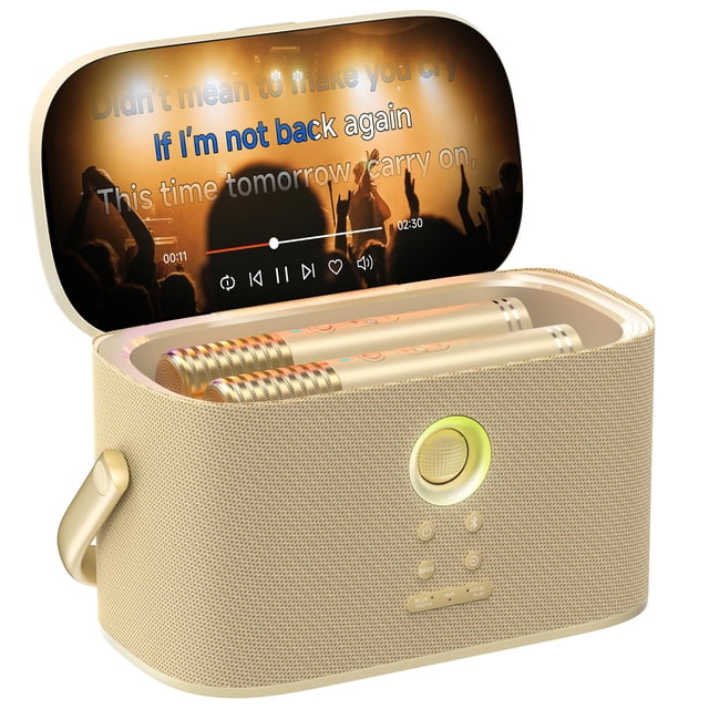 Micrófono inalámbrico Karaoke Machine Ikarao Shell S2 con pantalla de 8 pulgadas y 140 W