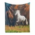thumbnail image 1 of Horses Soft Flannel Fleece Blanket, Andalusian Horse with a Majestic Dust Cloud Background Strong Desires Photo, Cozy Plush for Indoor and Outdoor Use, 50" x 70", White Orange Green, by Ambesonne, 1 of 6