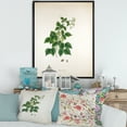 thumbnail image 2 of Designart 'Ancient London Plants VIII' Farmhouse Framed Canvas Wall Art Print, 2 of 5