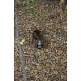 thumbnail image 2 of MOLASSE 4L Slop par Rack Stacker, 2 of 2