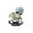 D, variant on 4 Cool Resin Skateboard Themed Skull Figurines Stylish Mini Skull Character Statues for Desk and Halloween Decor