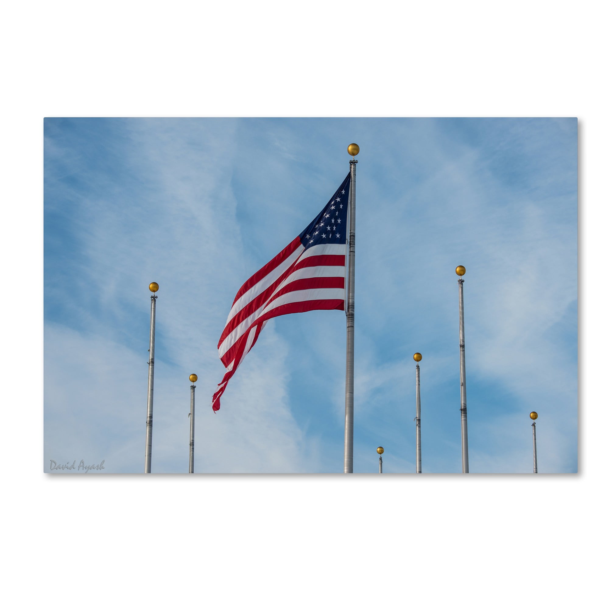 Trademark Fine Art "Red, White and Blue" Canvas Art by David Ayash
