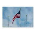thumbnail image 2 of Trademark Fine Art "Red, White and Blue" Canvas Art by David Ayash, 2 of 4