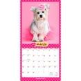 thumbnail image 3 of Puppies in Pink | 2026 12x24" (Hanging) Square Wall Calendar | Plastic-Free, 3 of 9