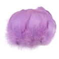 thumbnail image 2 of Kiplyki Wholesale 100pc Colorful Feathers 6-12 Cm In Small Feather DIY Decoration, 2 of 2