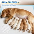 thumbnail image 4 of Euqvunn Puppy Pads 40-Pack, 31.5 x 36 Inch X-Large 6-Layer Disposable Pet Training Pads, Super Absorbent Leak Resistant Pee Pads for Dogs, Cats & Rabbits, 4 of 8