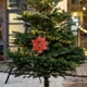thumbnail image 5 of Adornos navideños, adornos navideños, regalos navideños, flores de imitación navideñas, franela, árbol de Navidad, flores decorativas, artículos decorativos, 5 of 6