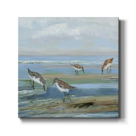 Seabird Beach III-Premium Gallery Wrapped Canvas - Ready to Hang