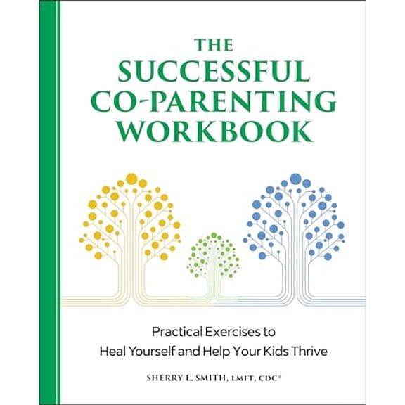 Pre-Owned The Successful Co-Parenting Workbook: Practical Exercises to Heal Yourself and Help Your Kids Thrive (Paperback) 1638071985 9781638071983