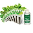 thumbnail image 2 of AeroGarden Mixed Romaine Lettuce Seed Pod Kit, 2 of 2