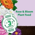 thumbnail image 4 of Miracle-Gro Shake 'N Feed Rose & Bloom Plant Food, 4 of 15