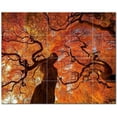 thumbnail image 1 of Trees Forest Ceramic Tile Mural Kitchen Backsplash Bathroom Shower, 401669-M54, 1 of 3