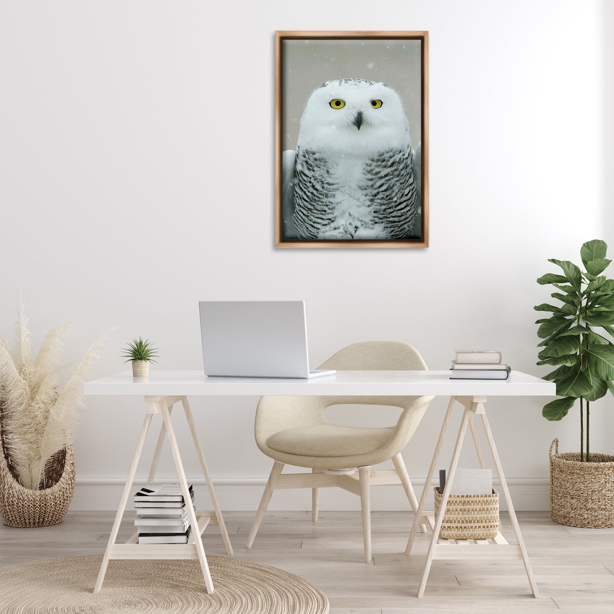 Stupell Industries Snowy Owl Portrait Animals & Insects Photography Brown Floater Framed Canvas Art Print Wall Art, 21 x 31