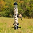 thumbnail image 4 of Perky-Pet 1 lb Squirrel Shield Tube Feeder, 4 of 6