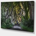 thumbnail image 2 of The Dark Hedges Ireland Landscape - Photography Canvas Art Print, 2 of 3