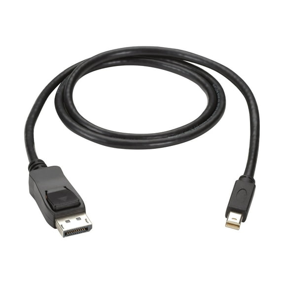 Black Box 6FT Mini DisplayPort to DisplayPort Cable - M-M - Black