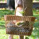 thumbnail image 4 of unbranded Cesta Portátil Tejida Imitación Rattan Para Picnic Y Almacenaje En Cocina, 4 of 6
