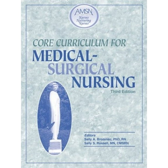 Pre-Owned Core Curriculum For Medical Surgical Nursing (Paperback) 0965531082 9780965531085