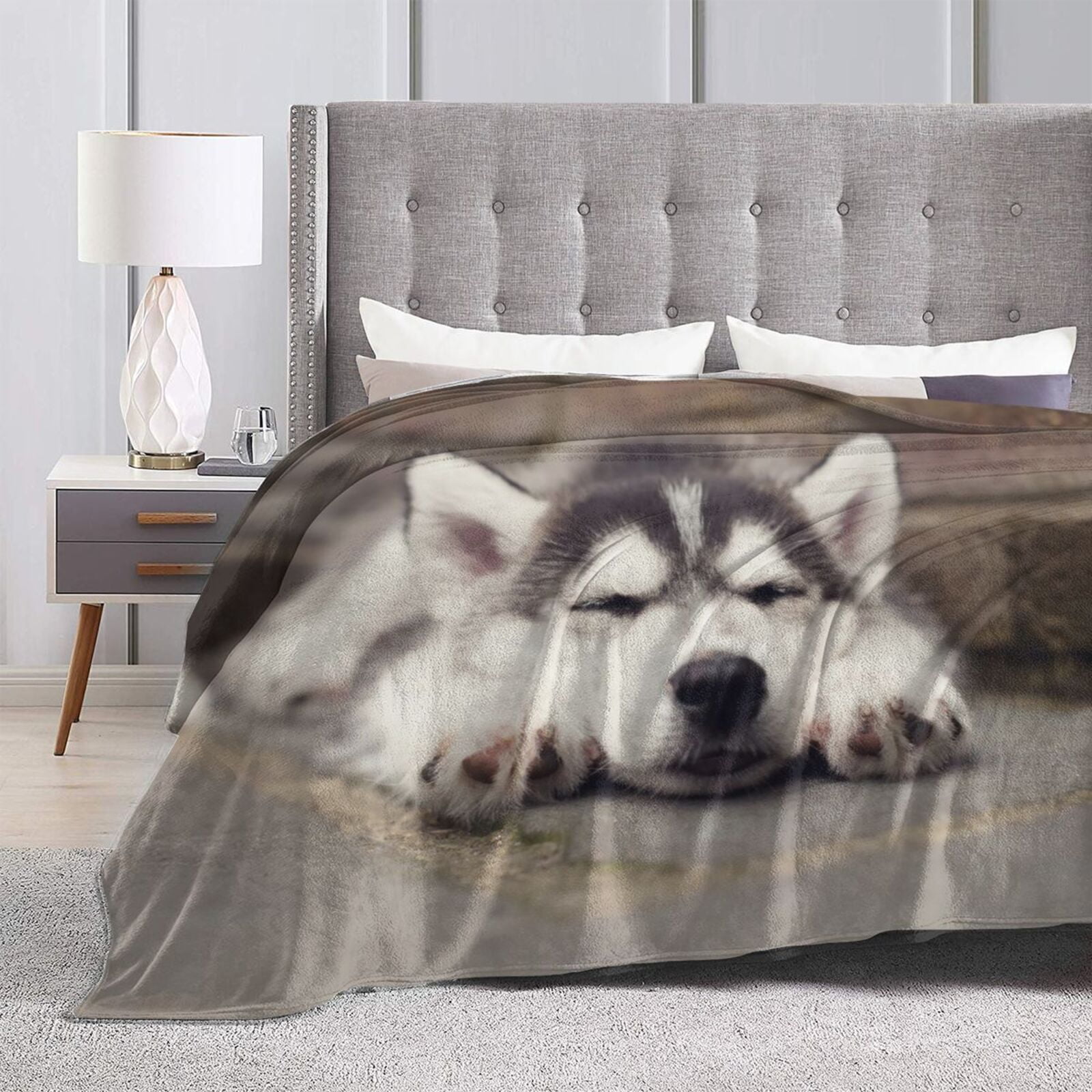 Wijzvio Husky Dog Throw Blanket Soft Fuzzy Fleece Blanket For Couch Bed Living Room Decoration 60"X50"