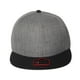 Origines - The Cap Guys TCG / Inspired Exclusives Snapback Gris Chiné – image 1 sur 5