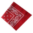 thumbnail image 4 of Toystoory Moda Hip Hop algodón pañuelo cuadrado bufanda negro rojo Paisley diadema impresa para mujeres/hombres/niños/niñas sombreros Almacenamiento y organización del hogar rojo Toystoory HA5742-07, 4 of 6