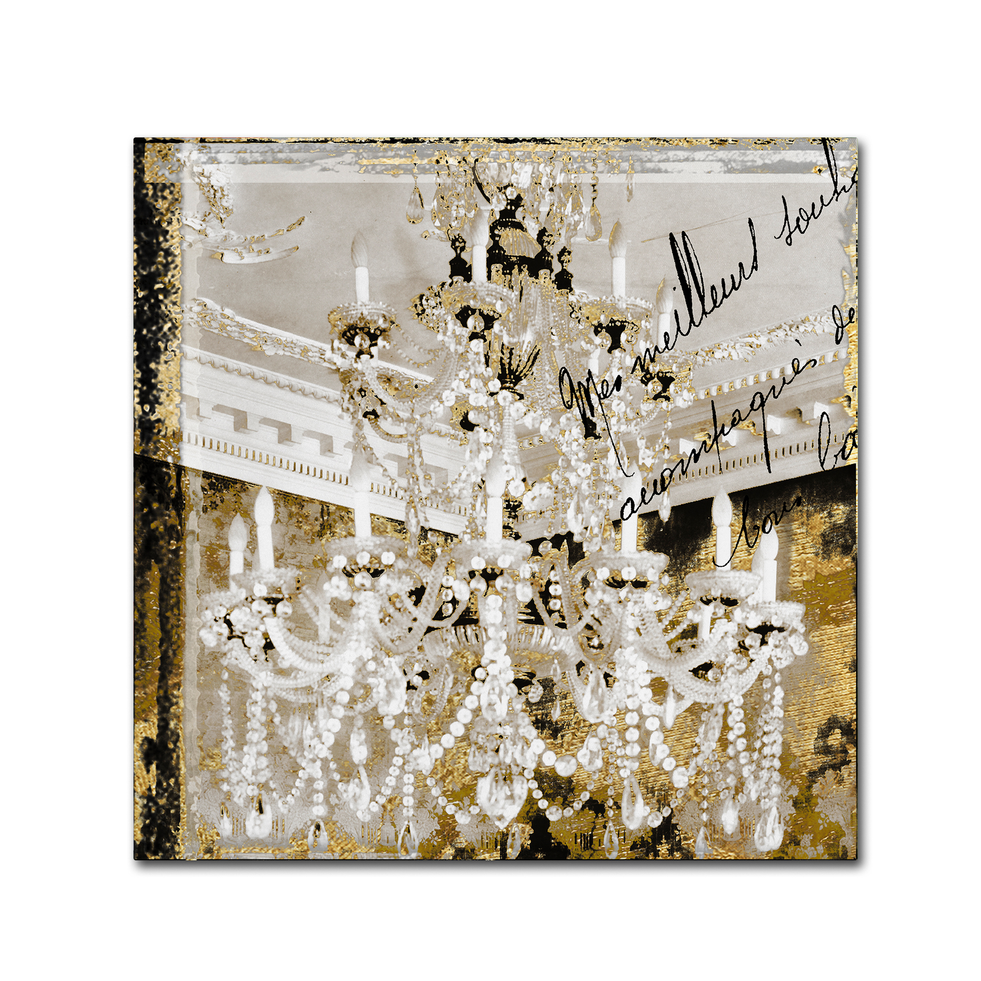 Trademark Fine Art "Chand 2" Canvas Art by Color Bakery